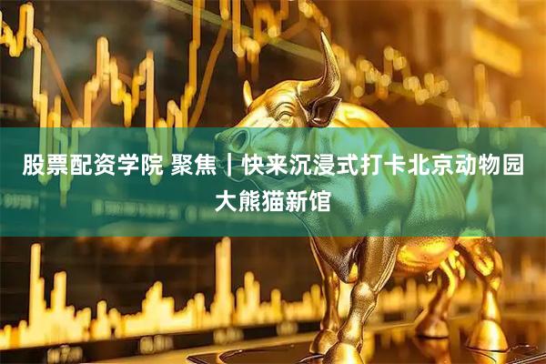 股票配资学院 聚焦｜快来沉浸式打卡北京动物园大熊猫新馆